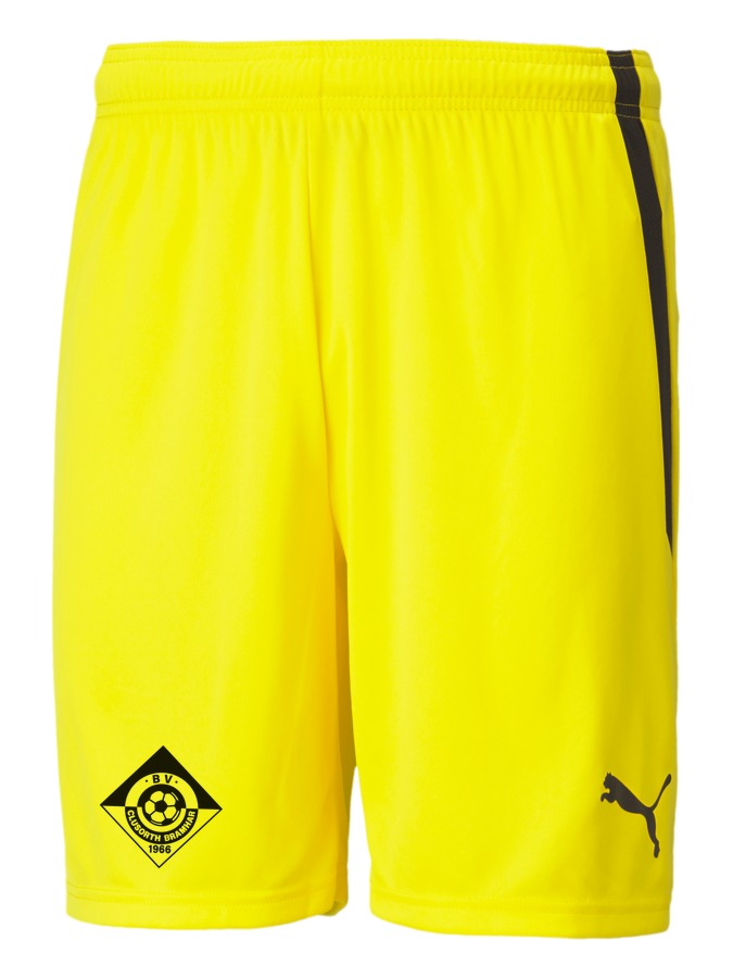 PUMA teamLIGA Shorts