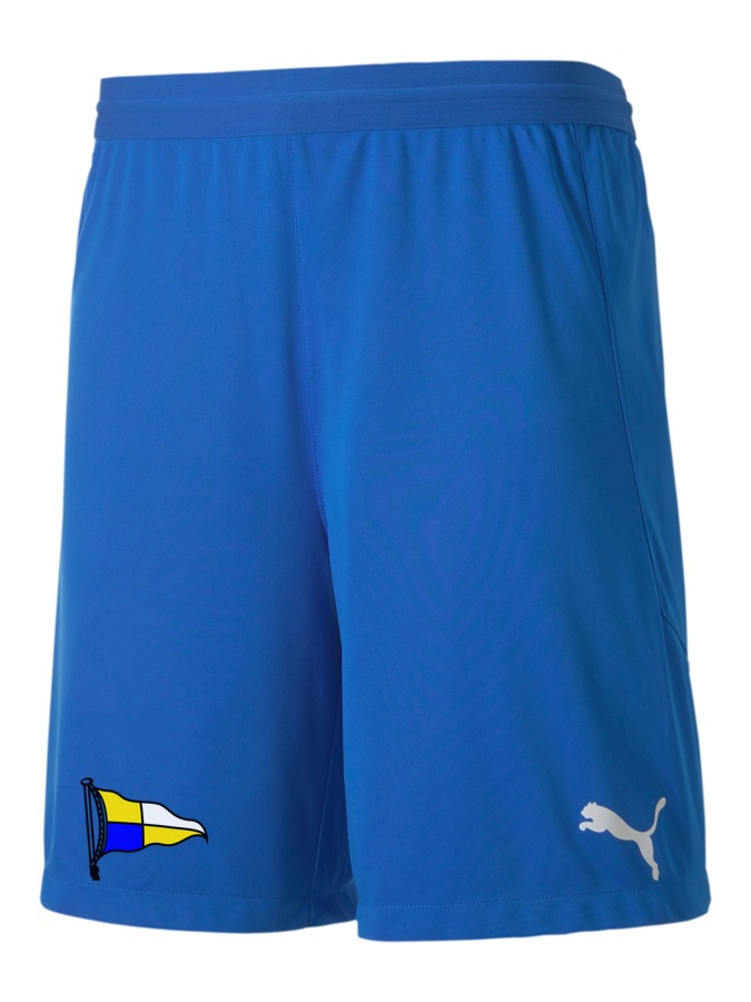 PUMA teamFINAL 21 Knit Shorts