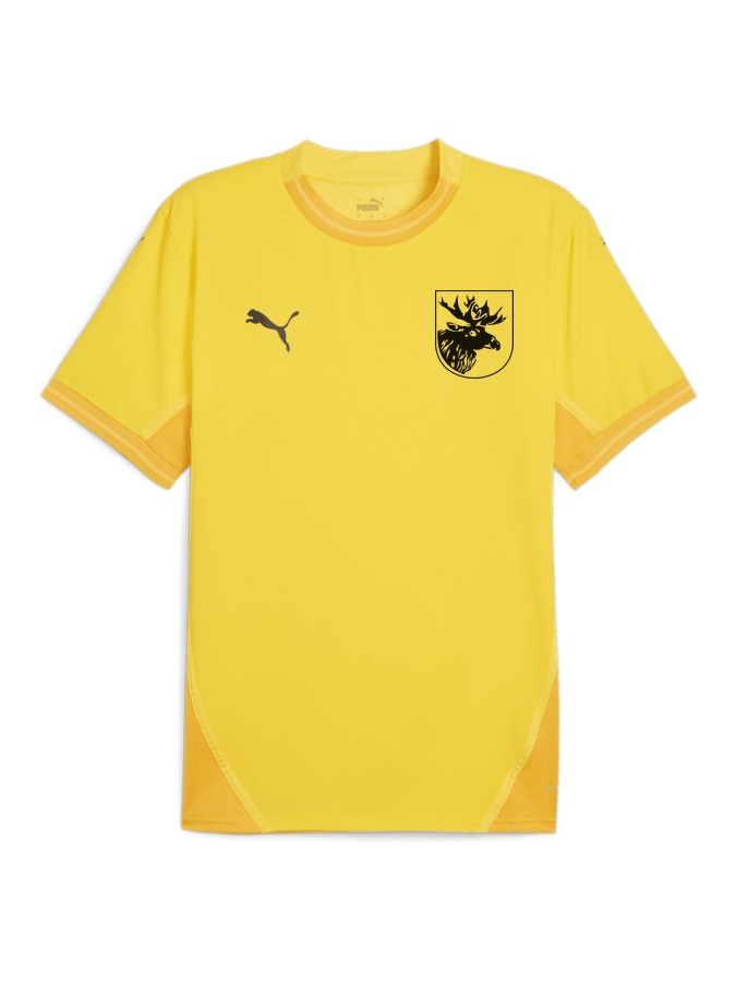 PUMA teamFINAL Trikot