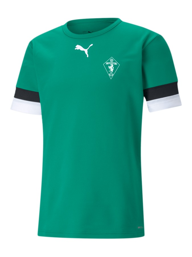 PUMA teamRISE Trikot
