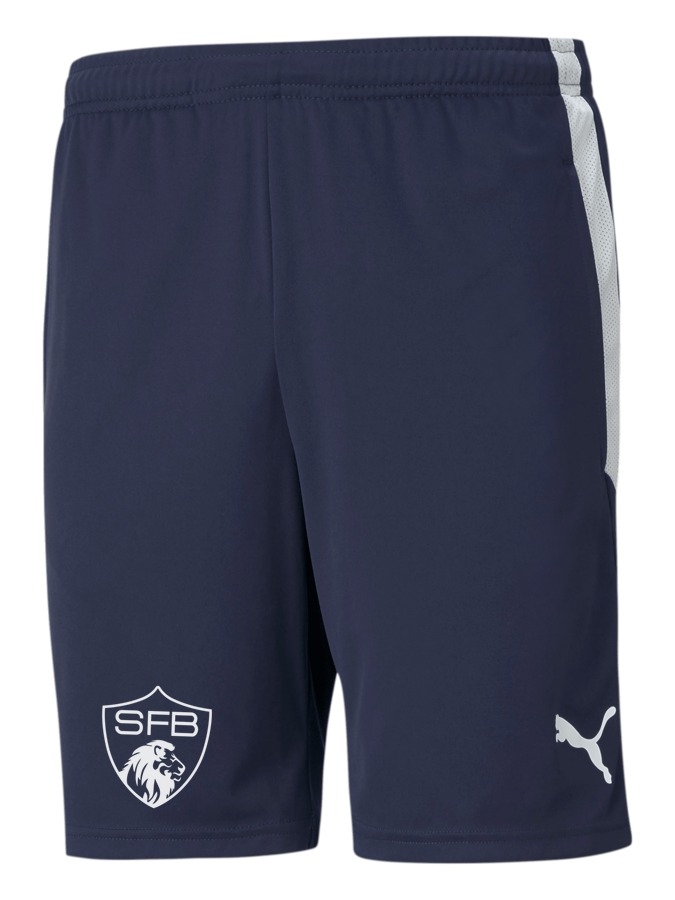 PUMA teamLIGA Training Shorts