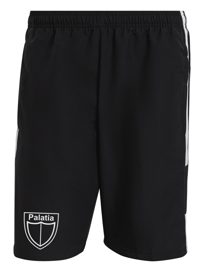 adidas Squadra 21 Downtime Shorts