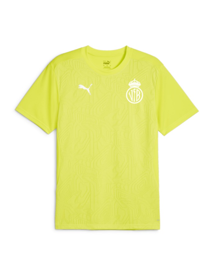 PUMA teamFINAL Trainingsshirt