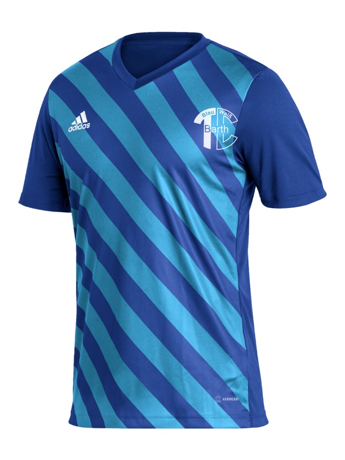 adidas Entrada 22 GFX Trikot