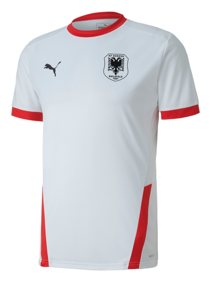 PUMA teamGOAL 23 Trikot