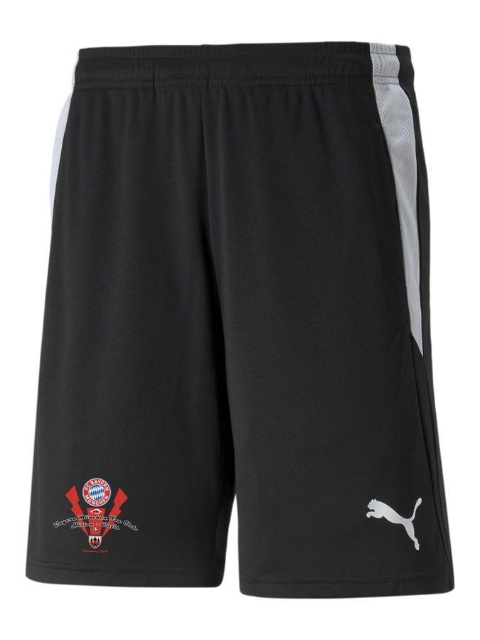 PUMA teamLIGA Referee Shorts
