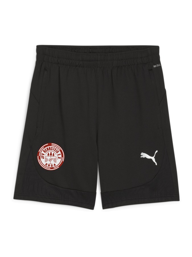 PUMA teamFINAL Training Shorts