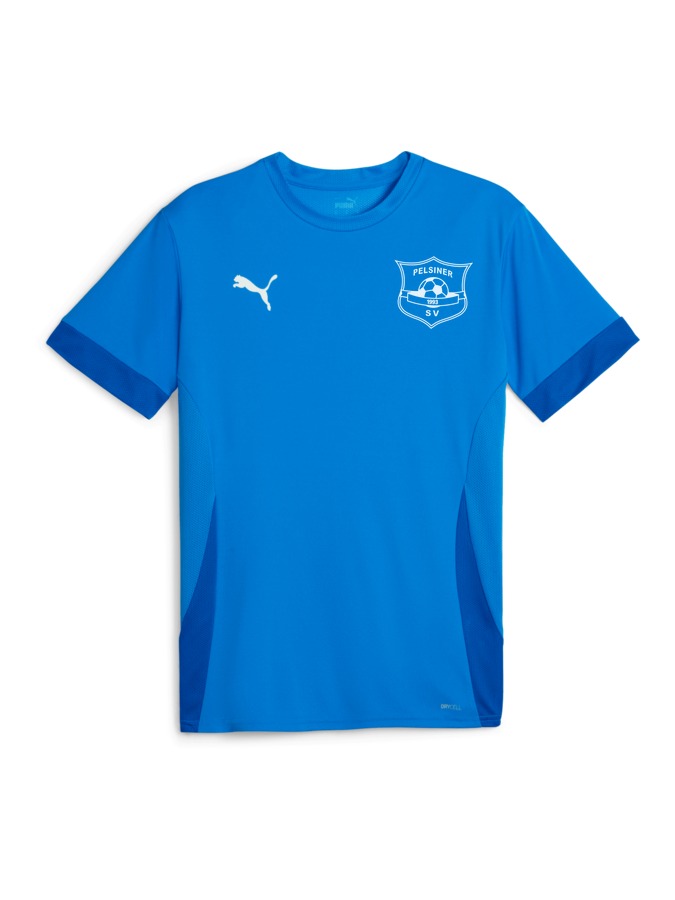 PUMA teamGOAL Matchday Trikot