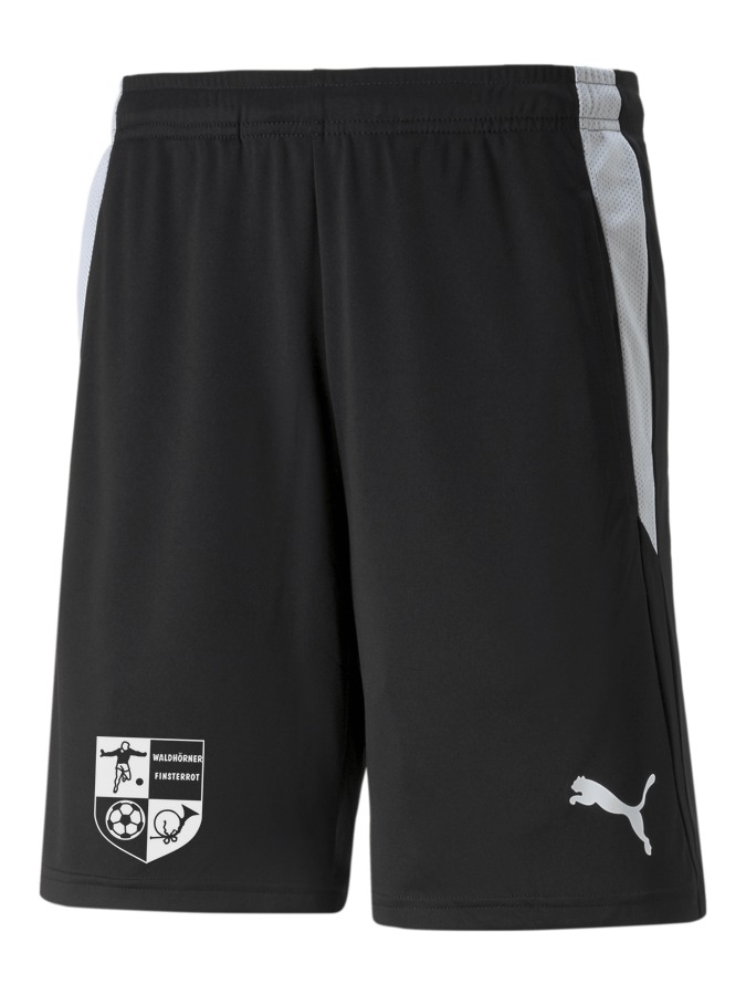 PUMA teamLIGA Referee Shorts