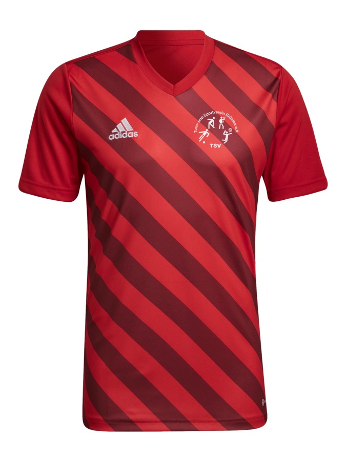 adidas Entrada 22 GFX Trikot