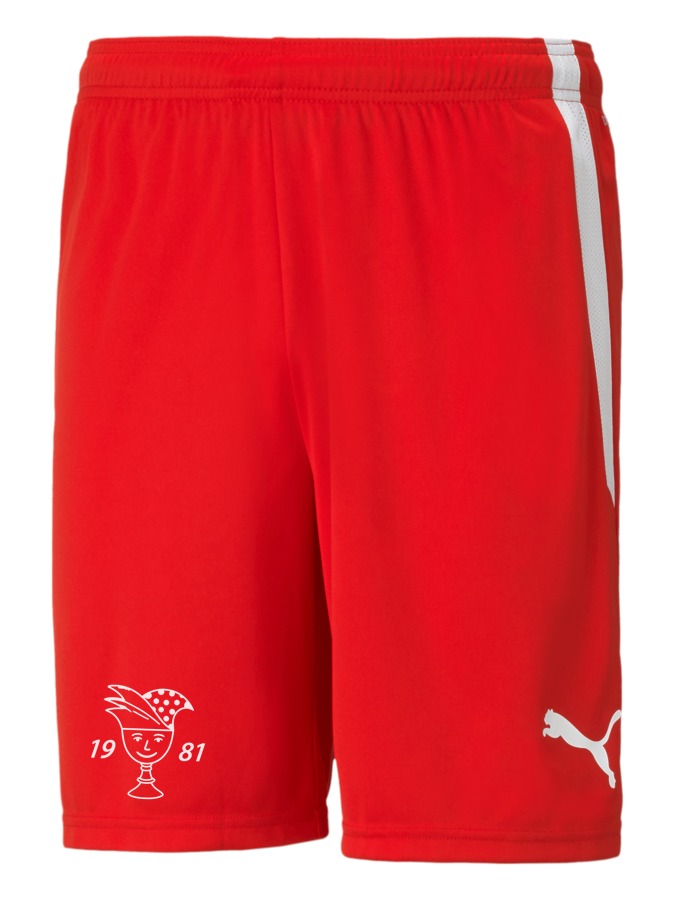 PUMA teamLIGA Shorts