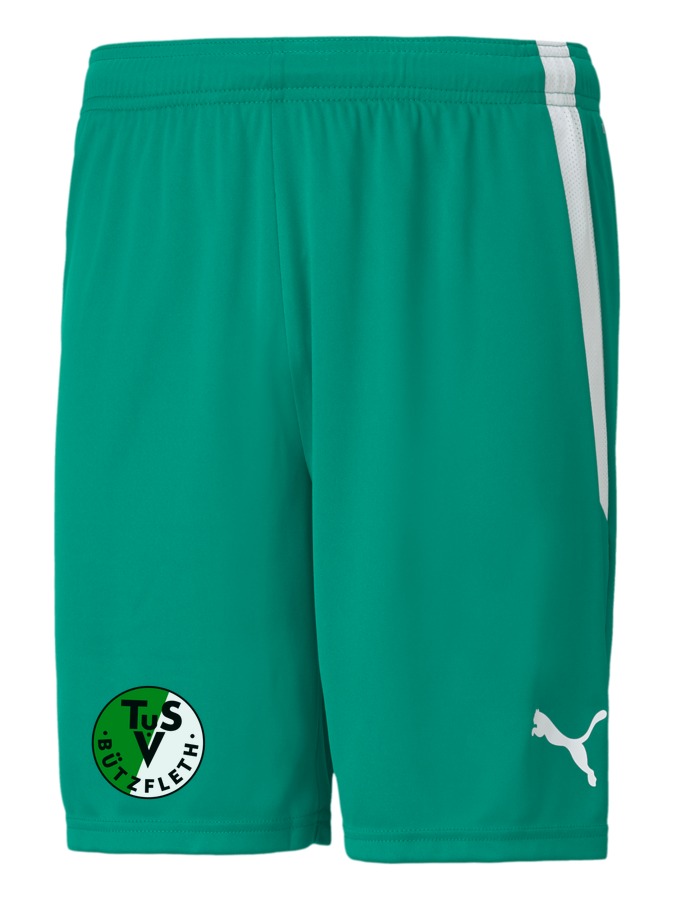 PUMA teamLIGA Shorts
