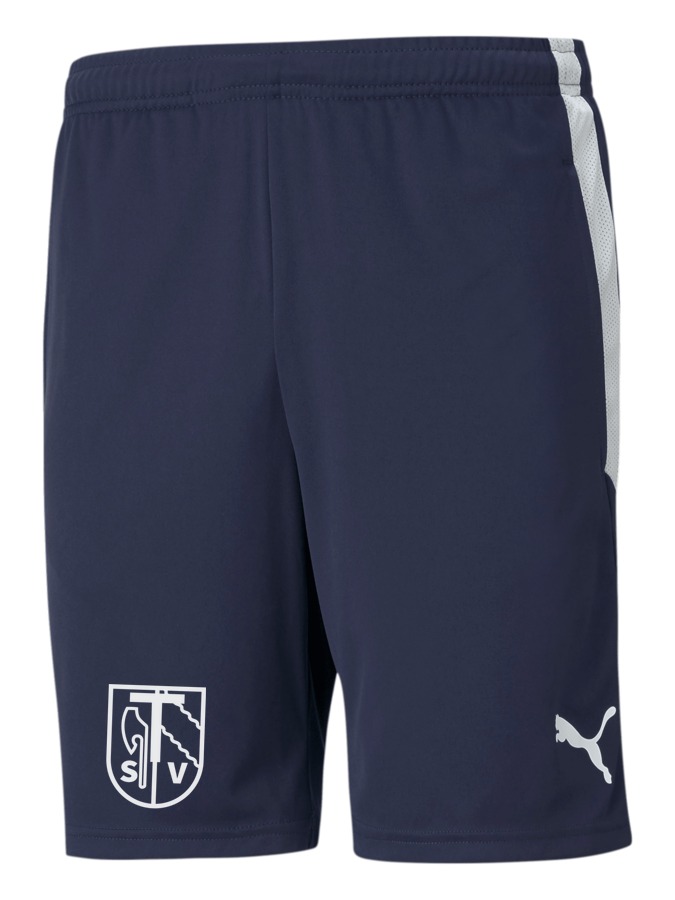PUMA teamLIGA Training Shorts
