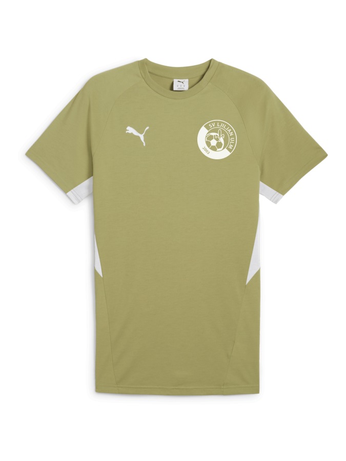 PUMA teamEVOSTRIPE T-Shirt