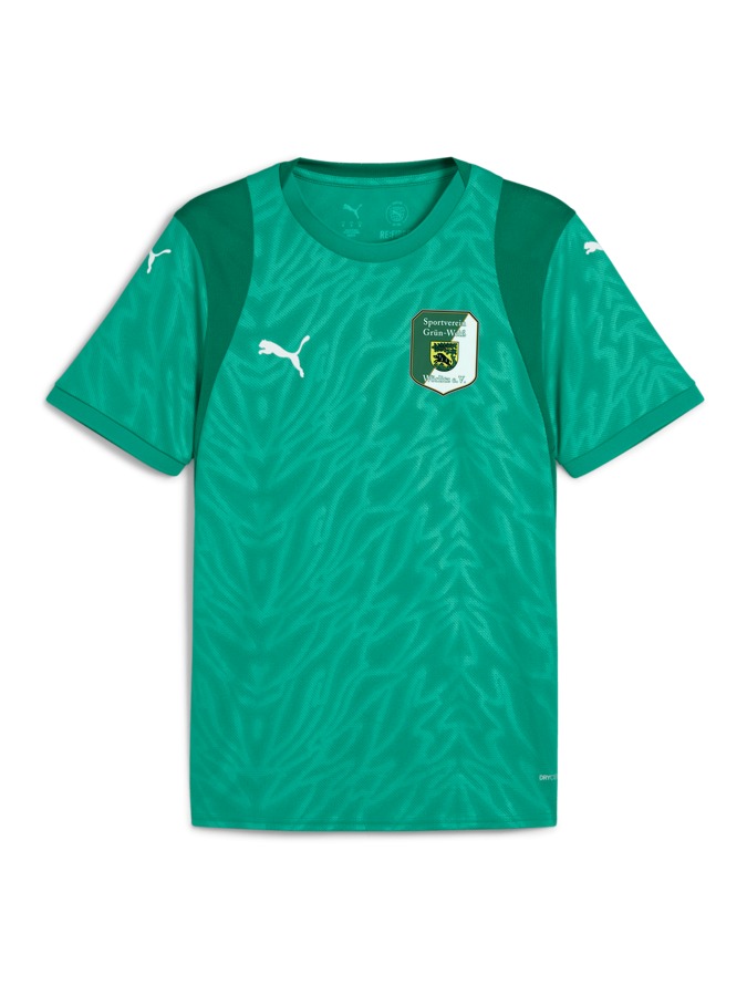 PUMA teamCUP Trikot