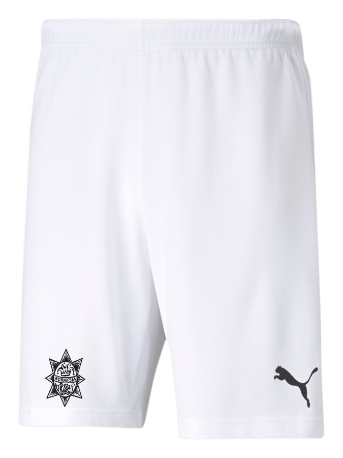 PUMA teamRISE Short