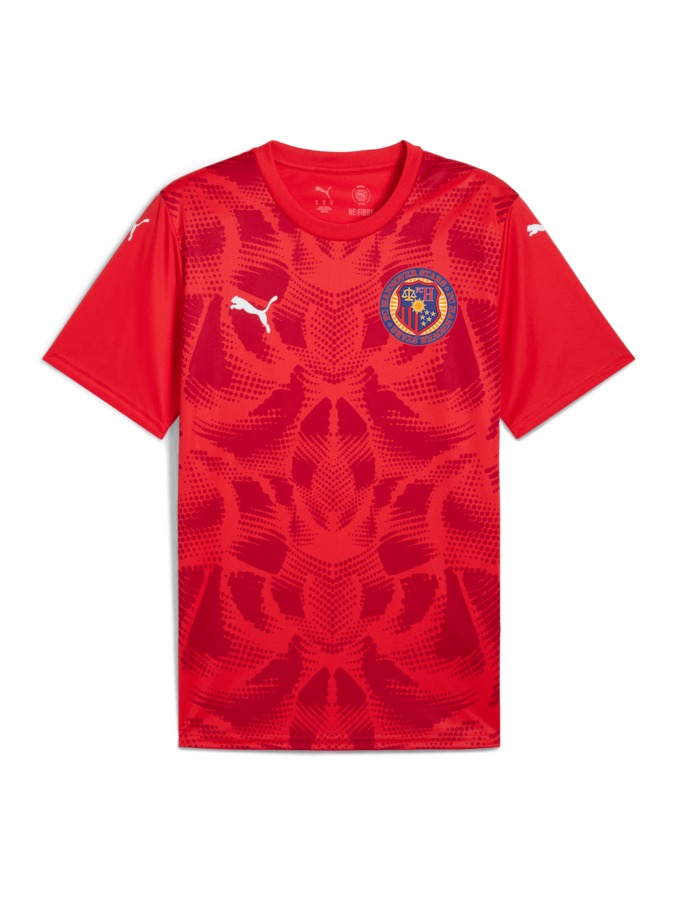 PUMA teamULTIMATE Trikot