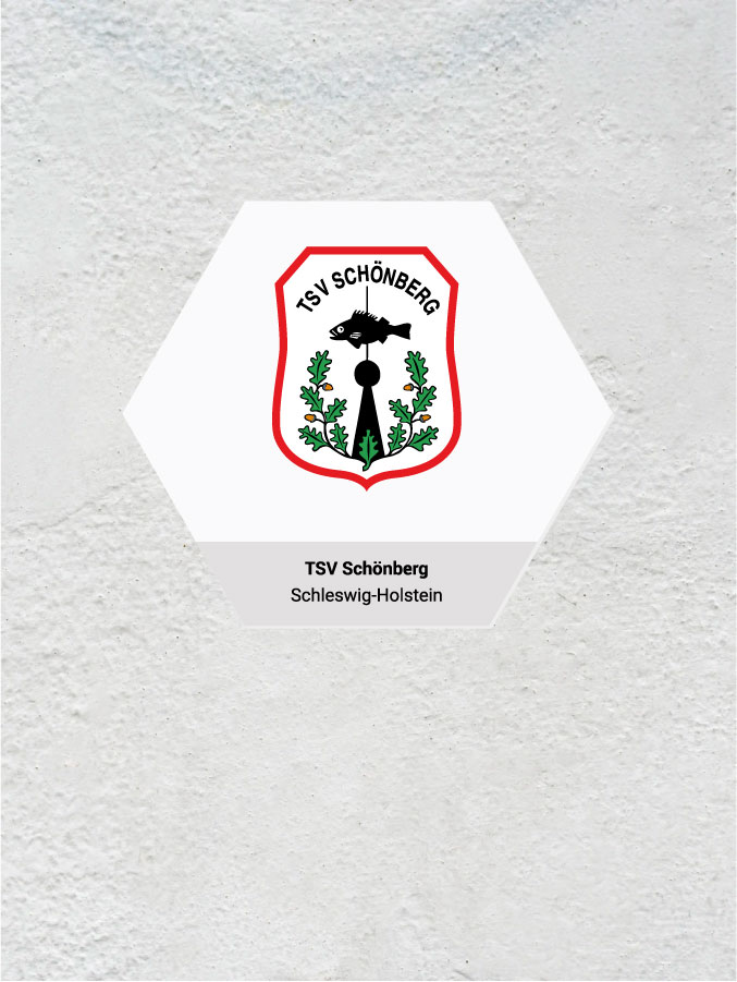 Wandkachel Hexagon mit Logo
