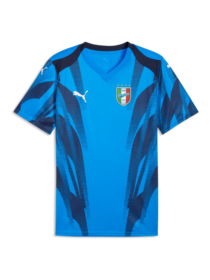 PUMA teamFINAL Graphic+ Trikot