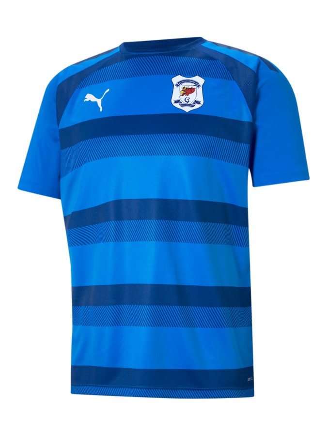 PUMA teamVISION Trikot