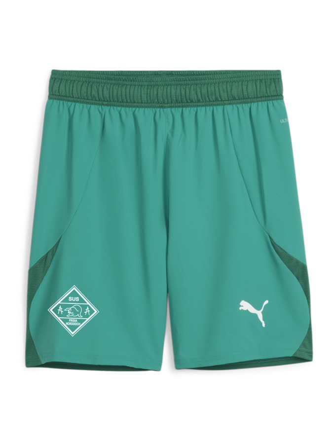 PUMA teamFINAL Shorts