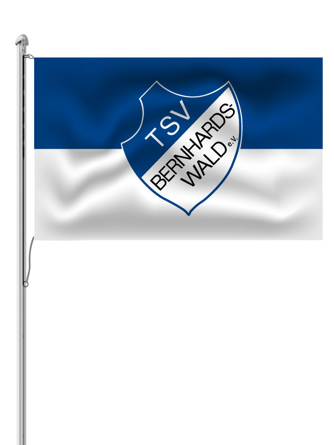Hissfahne Logo