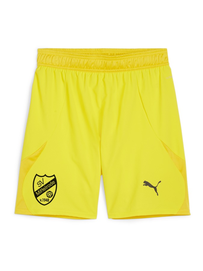 PUMA teamFINAL Shorts