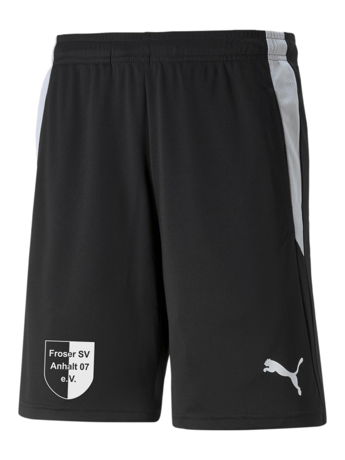 PUMA teamLIGA Referee Shorts