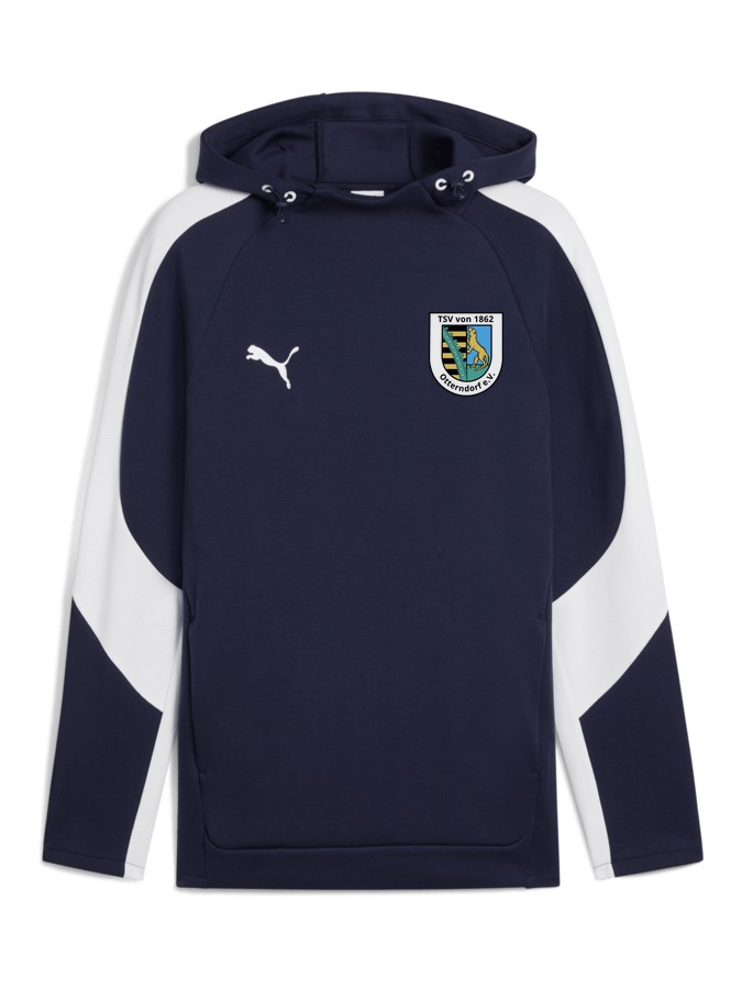 PUMA teamEVOSTRIPE Hoody