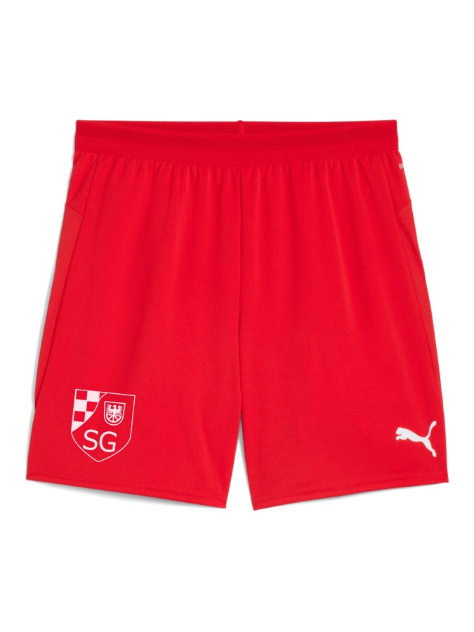 PUMA teamCUP Shorts