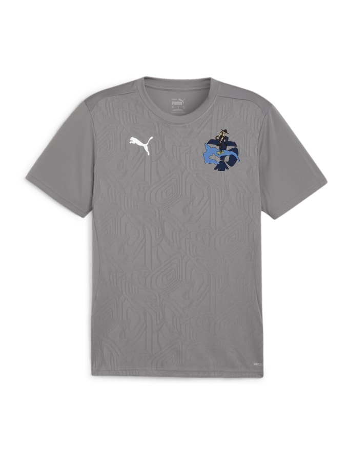 PUMA teamFINAL Trainingsshirt