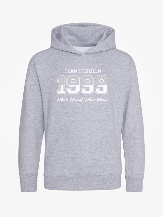 Hoodie Established Kids