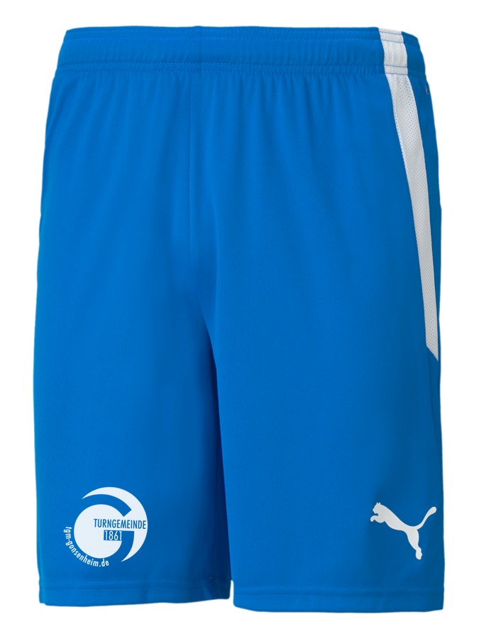 PUMA teamLIGA Shorts