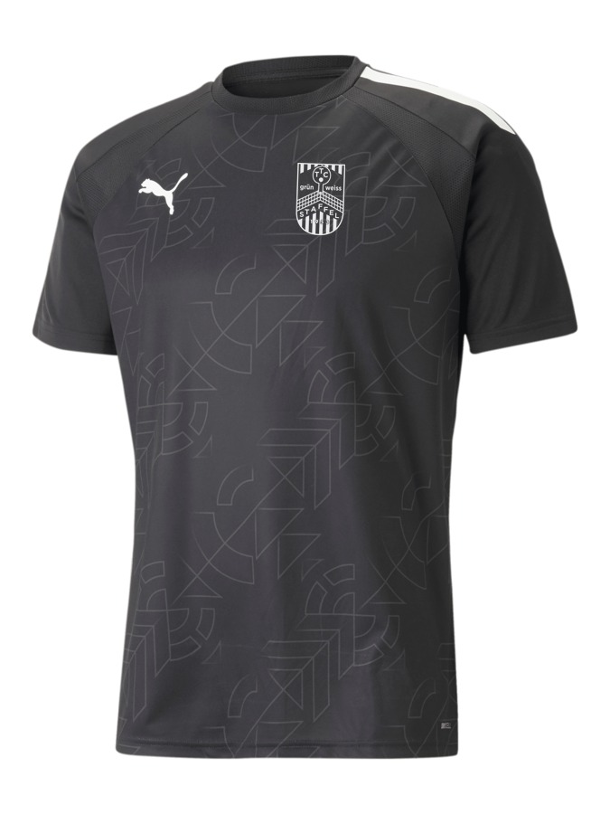 PUMA teamLIGA Graphic Trikot