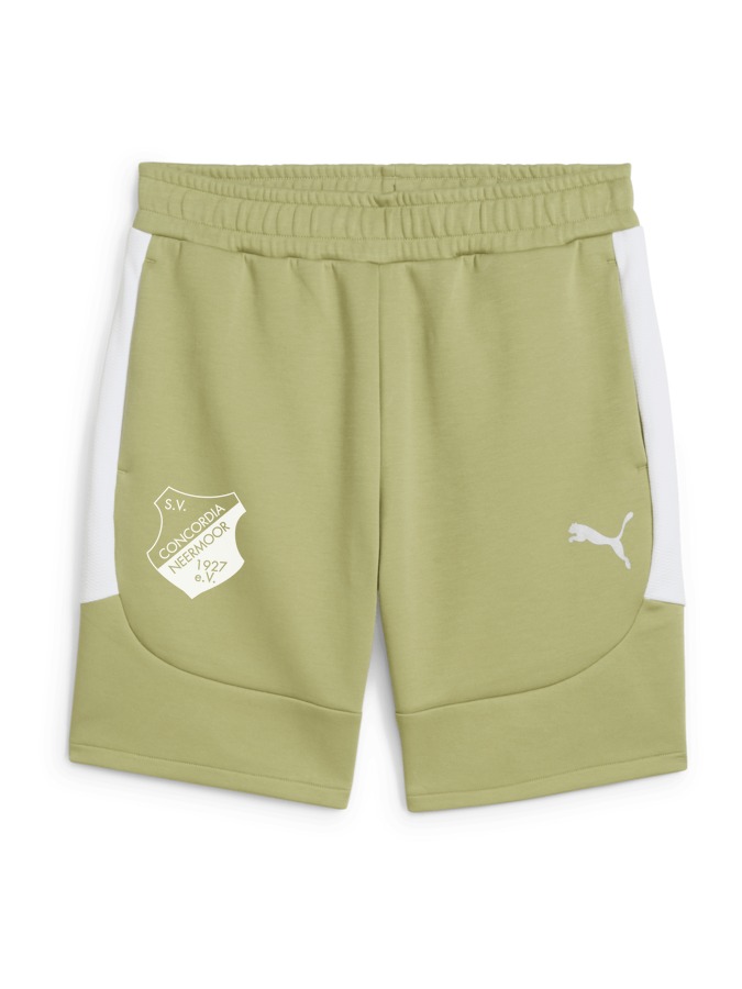 PUMA teamEVOSTRIPE Shorts