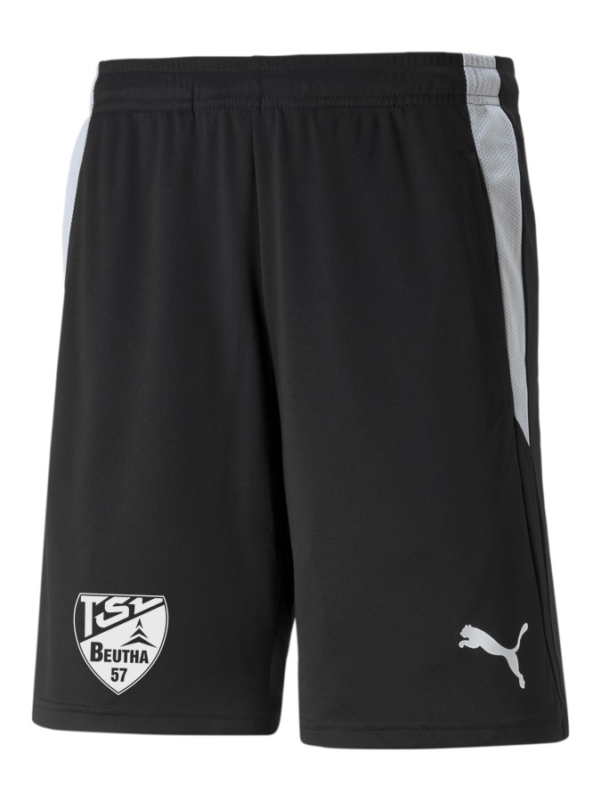 PUMA teamLIGA Referee Shorts