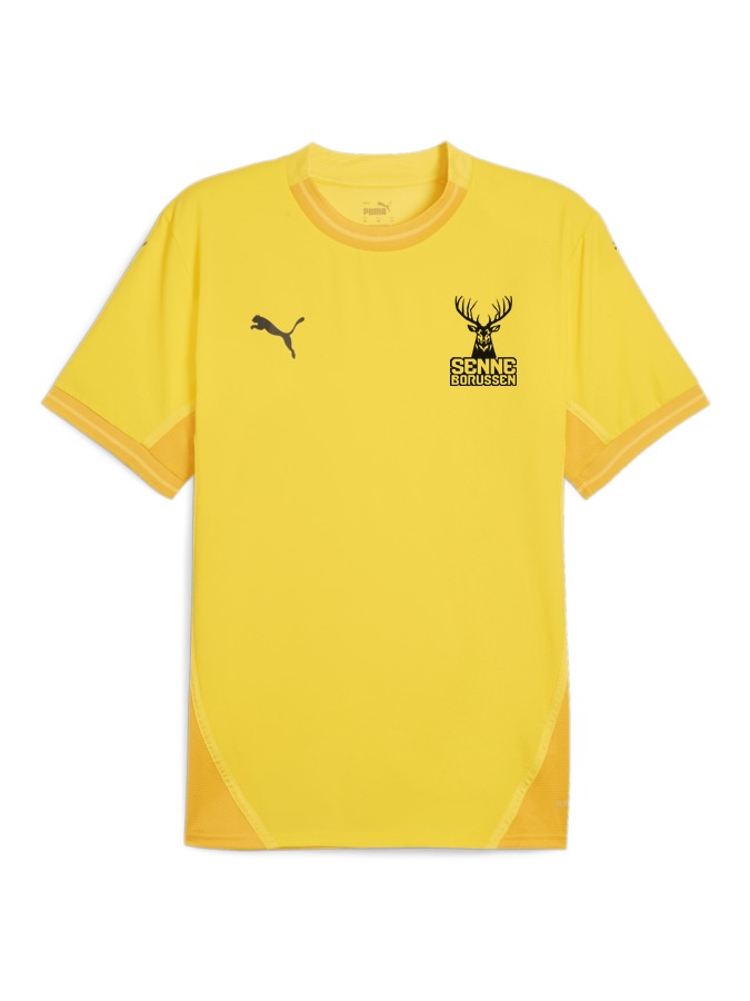 PUMA teamFINAL Trikot