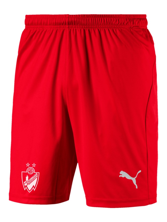 PUMA LIGA Shorts Core