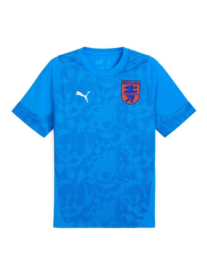 PUMA teamCUP Trainingsshirt