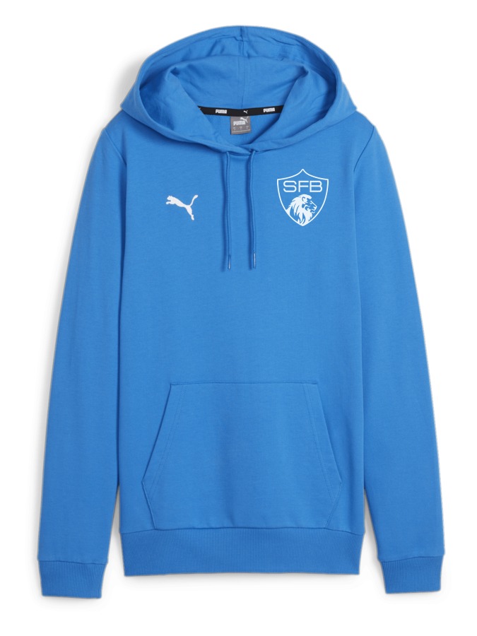 PUMA teamGOAL Casuals Hoody Damen