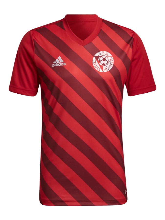 adidas Entrada 22 GFX Trikot