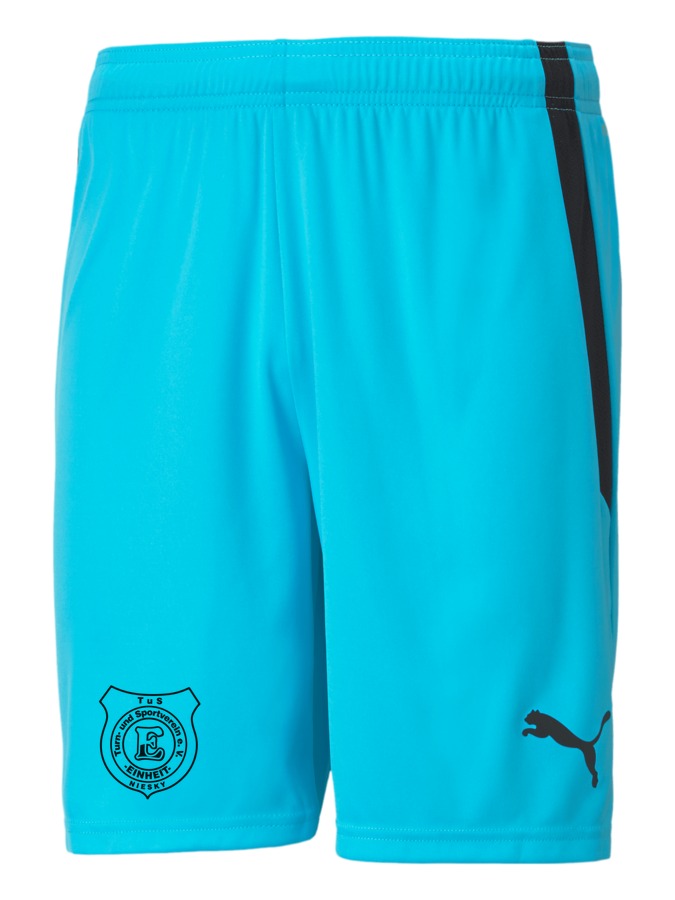 PUMA teamLIGA Shorts