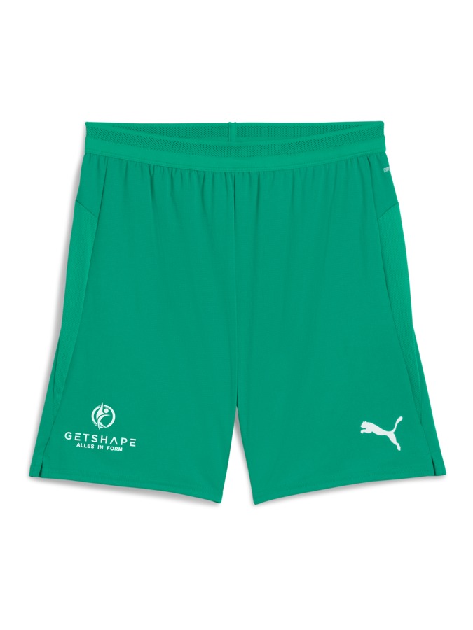 PUMA teamCUP Shorts