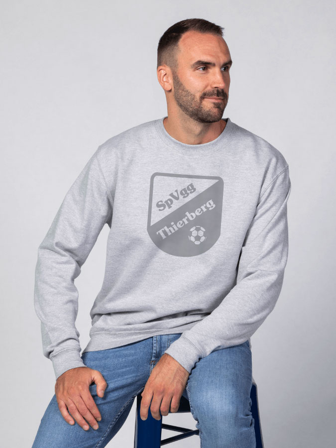 Sweater All Grey Herren