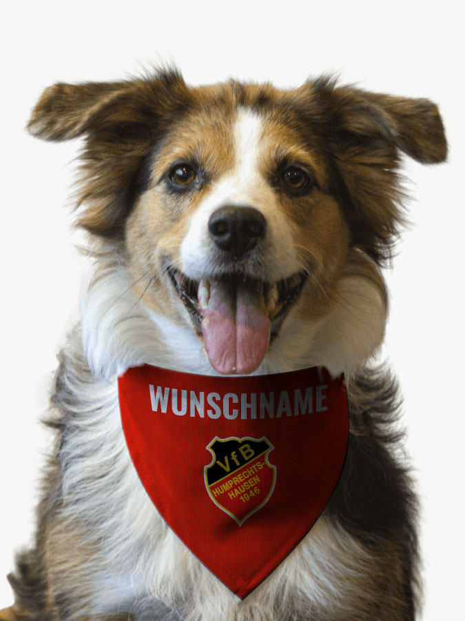 Hundehalstuch