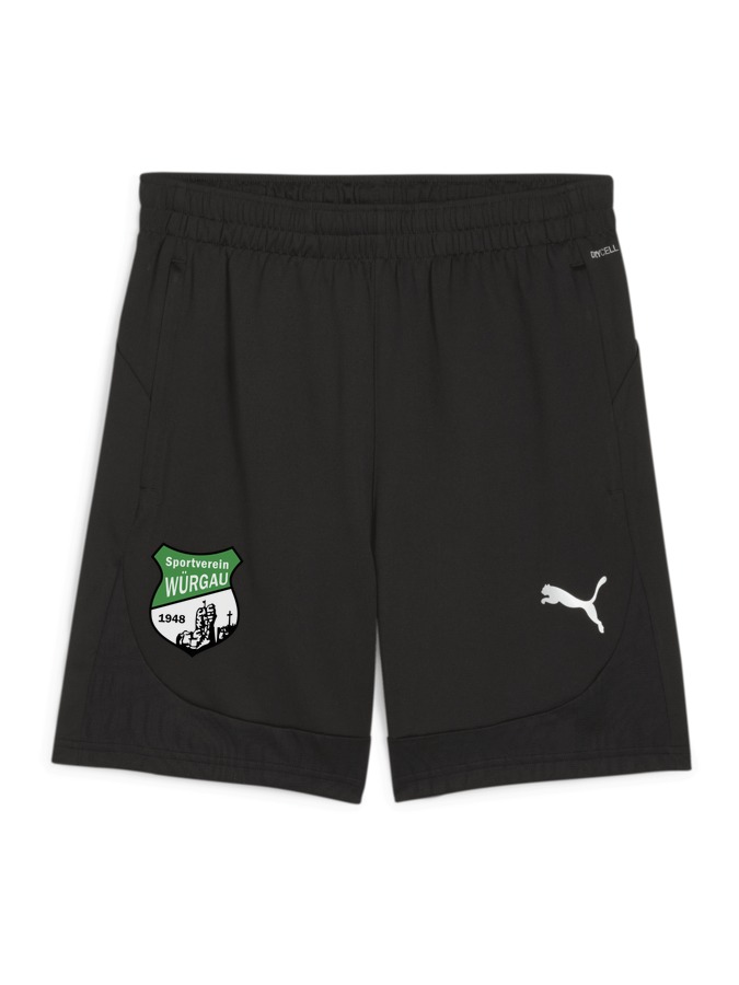 PUMA teamFINAL Training Shorts