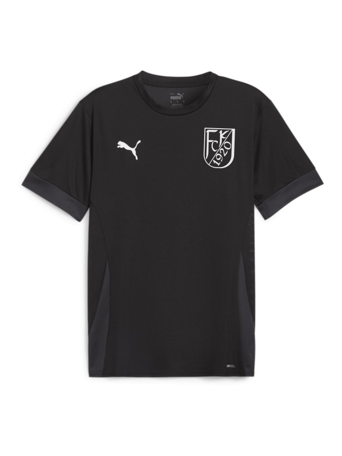 PUMA teamGOAL Matchday Trikot