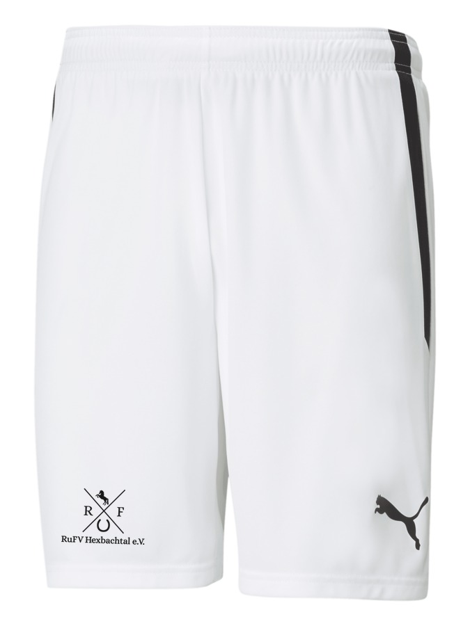 PUMA teamLIGA Shorts