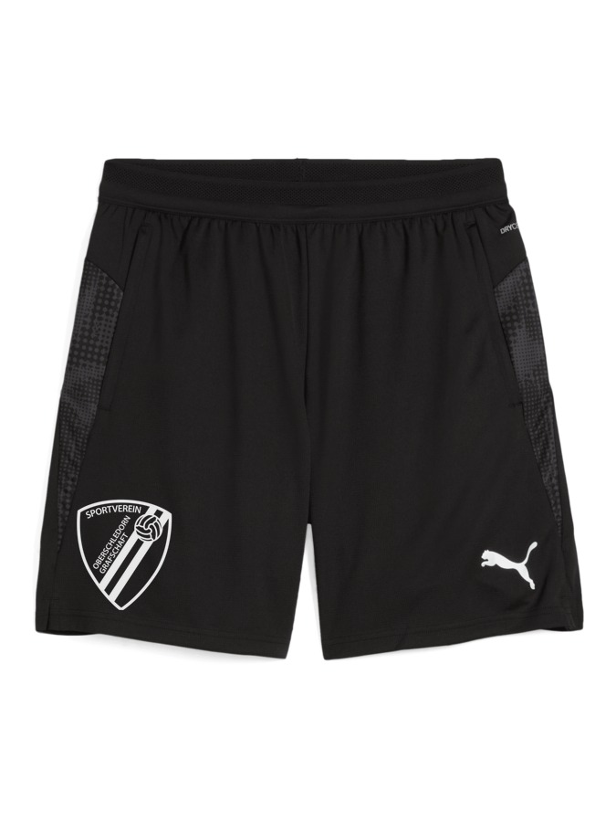 PUMA teamCUP Training Shorts