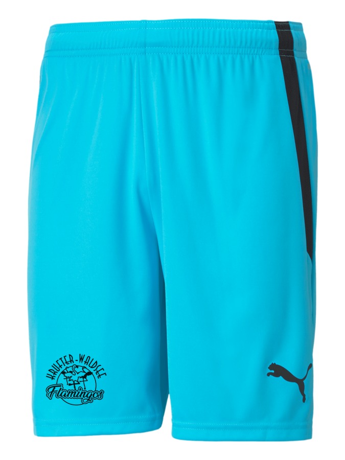 PUMA teamLIGA Shorts
